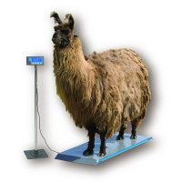 Salter Brecknell PS1000 Alpaca & Llama Scale