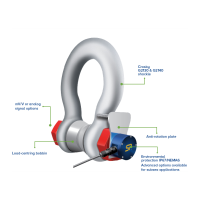 Straightpoint Cabled Shackle Loadcell