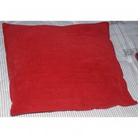 Large Red Cushion