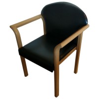 Re Upholstered Solid Wood Arm Chair