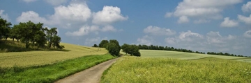 Land Insurance Services In Essex