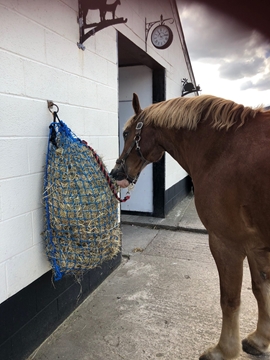 Slow Feeding Nets for Horses