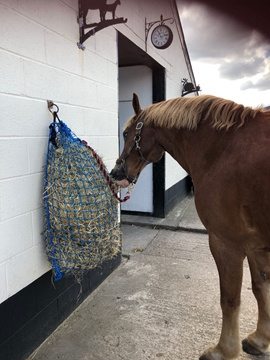 Trickle Feed Nets for Horses