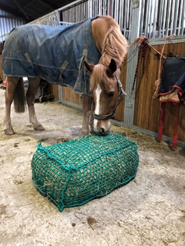 Slow Feed Pony Standard Hay Bale 