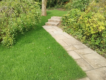 Soft Landscaping Services In Ivybridge