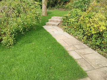 Soft Landscaping Services In Saltash