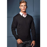 Essential' acrylic v-neck sweater