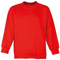 Kid's Coloursure&#8482; Curved Raglan Sweatshirt