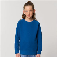 Kids mini Scouter iconic crew neck sweatshirt (STSK916)