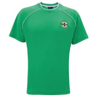 Official Football Merchandise Northern Ireland adults t-shirt