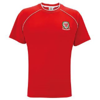 Wales adults t-shirt