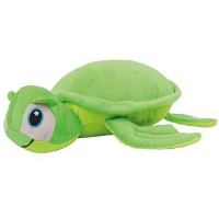 Zippie turtle