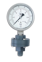 Bolted Diaphragm Chemical Seal Gauges