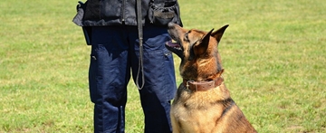K9 Commercial Security Services