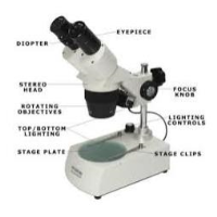 Light Microscopes at Taab Laboratories Equipment