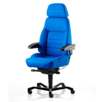 Executive Workchair - Xtreme Fabric