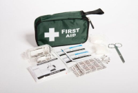 Vehicle First Aid Kit - Bag