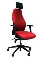 Zen II Ergonomic Task Chair