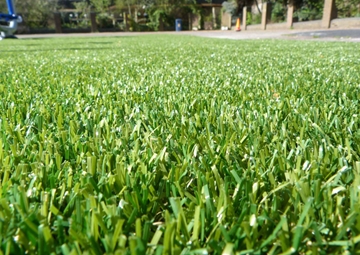 Synthetic Grass For Playgrounds