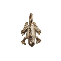 9ct 18x13mm frog charm