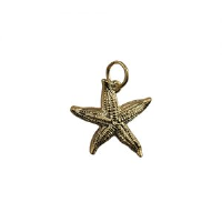 9ct 19x19mm Starfish Pendant or Charm