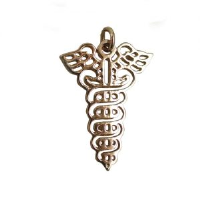 9ct 35x25mm Pierced Medical emblem Pendent with bail