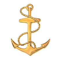 9ct 42x31mm Anchor with rope Brooch
