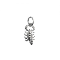 Silver 12x8mm scorpion ready to strike Charm