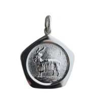 Silver 21mm five sided Capricorn Zodiac Pendant
