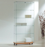 Glass Display Cabinet For Displaying Collections