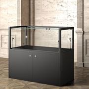 Display Case With Storage For Museum Exhibitions