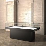 Flat Glass Display Case For Art Exhibitions
