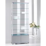 Extra Tall Glass Display Showcase For Museum Displays