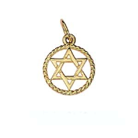 9ct Gold 12mm plain Star of David in a twisted wire circle Pendant