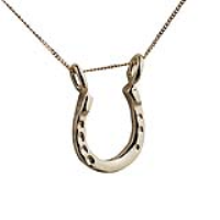 9ct Gold 15x14mm Horseshoe Pendant with a 0.6mm wide curb Chain
