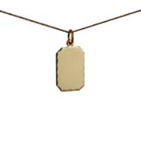 9ct Gold 18x12mm diamond cut edge rectangular Disc Pendant with a 0.6mm wide curb Chain 16 inches Only Suitable for Children