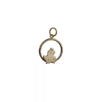 9ct Gold 18x19mm Frog in a circle Pendant or Charm