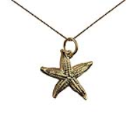 9ct Gold 19x19mm Starfish Pendant with a 0.6mm wide curb Chain