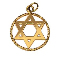 9ct Gold 20mm plain Star of David in a twisted wire circle Pendant