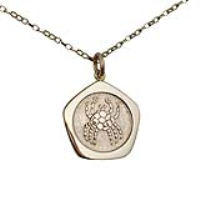 9ct Gold 21mm five sided pentagon Cancer Zodiac Pendant with a 1.4mm wide belcher Chain