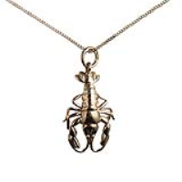 9ct Gold 21x13mm Lobster Pendant with a 0.6mm wide curb Chain