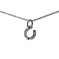 Silver 10x9mm Lucky Horse Shoe Pendant with a 1mm wide rolo Chain 14 inches Only Suitable for Children