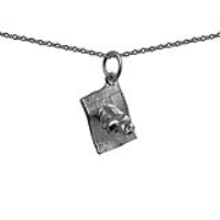 Silver 12x13mm Magic Carpet Pendant with a 1mm wide rolo Chain 18 inches