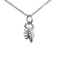 Silver 12x8mm Scorpion ready to strike Pendant with a 1mm wide rolo Chain 20 inches