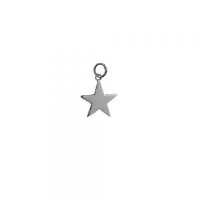 Silver 15mm Star Pendant or Charm