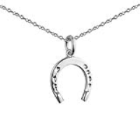 Silver 15x14mm Horse Shoe Pendant with a 1mm wide rolo Chain 18 inches