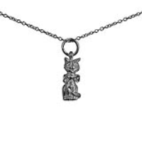 Silver 15x6mm Cheshire Cat Pendant with a 1mm wide rolo Chain 22 inches