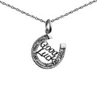 Silver 16x16mm solid Horseshoe with Good Luck Pendant with a 1mm wide rolo Chain