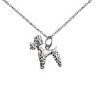 Silver 18x15mm Poodle Pendant with a 1mm wide rolo Chain 14 inches Only Suitable for Children