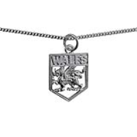 Silver 18x15mm Wales Badge Pendant with a 1.3mm wide curb Chain 22 inches
